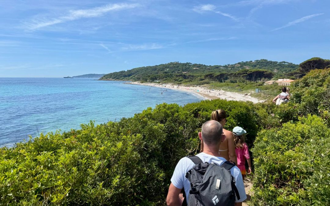 June 2025 – Switzerland, Italy and France – Dancing with wildflowers and shadows